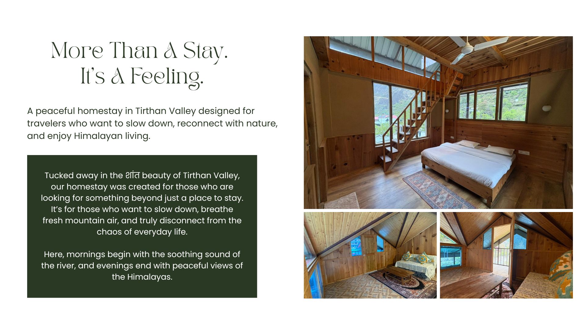 Green and White Minimalist Hotel Promotion Presentation (3)